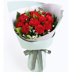 12 Red Carnations in Vase Delivery Manila