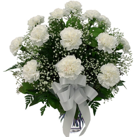 One Dozen White Carnations