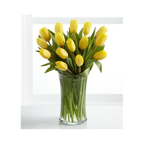 15 Yellow tulips Send to Manila Philippines