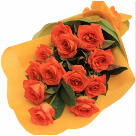 12 Orange Roses